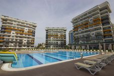 Others Olive Garden Siberland D27