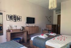 其他 3 Hotel Palme Dalyan