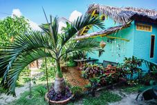 其他 The Happy Bird B&B