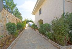 其他 2 Antiphellos A