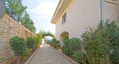 其他 2 Antiphellos A