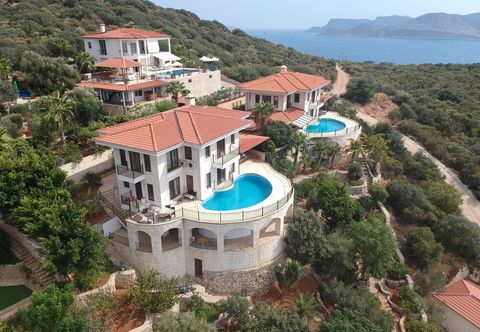 其他 Antiphellos A