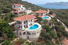 其他 Antiphellos A