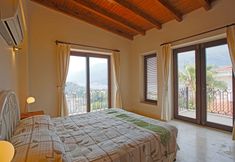 其他 4 Antiphellos A