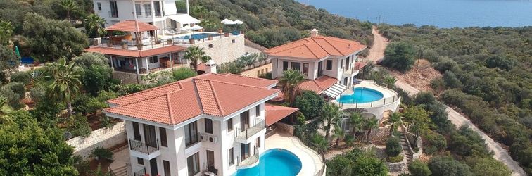 其他 Antiphellos B