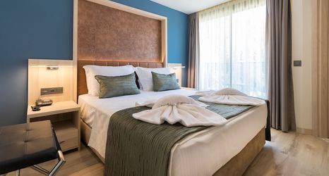 其他 2 Amossia Elit Butik Otel