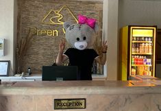 其他 2 Green Valley Boutique Hotel