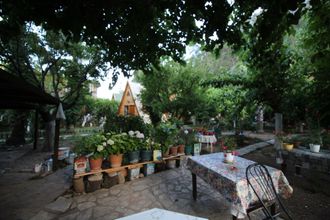 その他 4 Oran Pansiyon Agac Evler