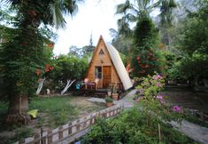 기타 6 Oran Pansiyon Agac Evler