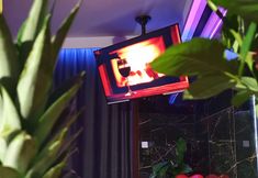 Lain-lain 2 Glass House Hot Tub Apartments