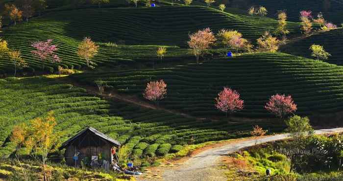 Khác Sapa Dao Homestay