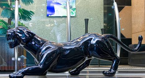 อื่นๆ 2 Rede Andrade Amazônia