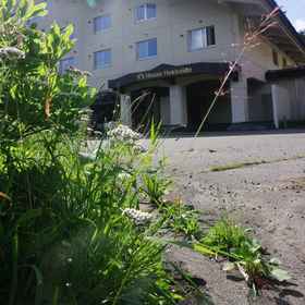 Primary image 1 K's House Hokkaido - Asahidake Onsen Hostel, Khách sạn Kamikawa