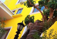 其他 2 The Zanadu İstanbul