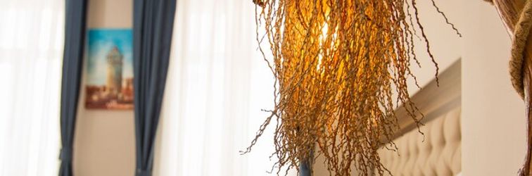 기타 Corner Garden Hotel