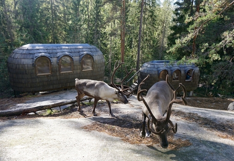 Others Igluhut sleeping with reindeer