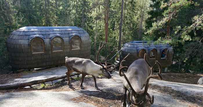 Others Igluhut sleeping with reindeer