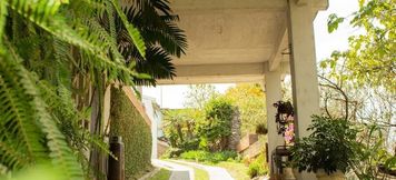 その他 6 Hotel San Luis de la Sierra