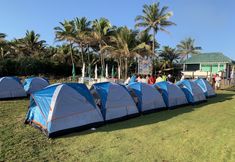 기타 3 Pacific Buddies - Campsite