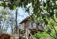 Lain-lain 5 Altaris Bungalows Olympos