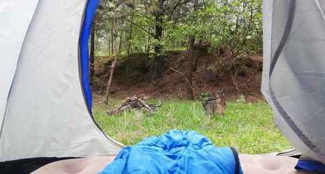 其他 2 Casa Don Gil - Campsite