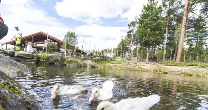 Khác Dombås Hostel