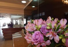 기타 3 Altadomo Hotel