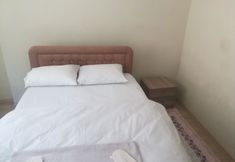 기타 2 Ozen Golden Aparts