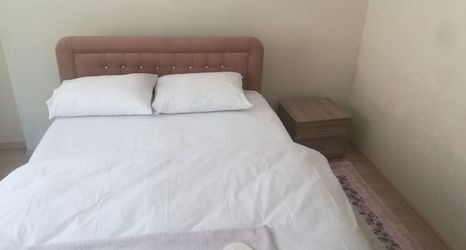 기타 2 Ozen Golden Aparts