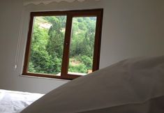 기타 3 Ozen Golden Aparts