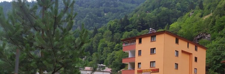 기타 Ozen Golden Aparts