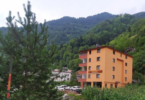 기타 Ozen Golden Aparts