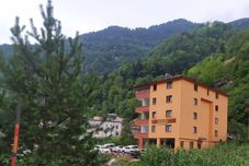 Others Ozen Golden Aparts