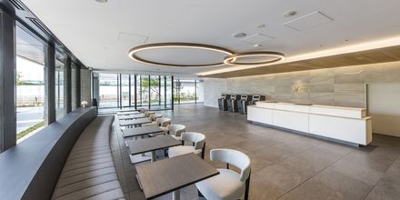 其他 4 Far East Village Hotel Ariake, Tokyo