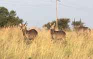 Others 3 Spendpenny Guest Farm