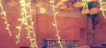 Others 6 Nakula's Homestay