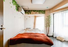 その他 3 Seruju Asahi 601