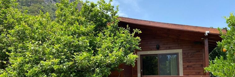 其他 Cirali Villas 2