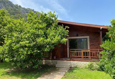 其他 Cirali Villas 2