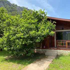 Room 1 Cirali Villas 2, Kemer Hotels