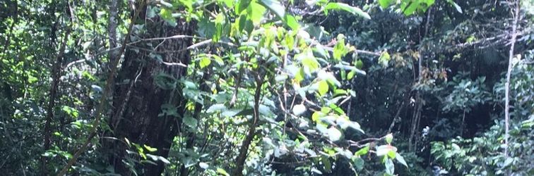 其他 Rancho Ecologico Oasis de Luz