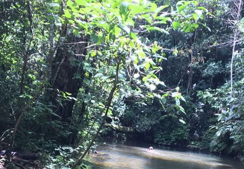 其他 Rancho Ecologico Oasis de Luz