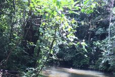 其他 Rancho Ecologico Oasis de Luz