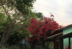 其他 3 Rancho Ecologico Oasis de Luz