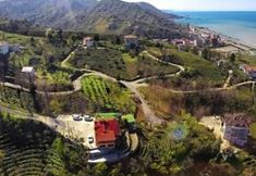 其他 6 Caca Bungalow & Apart