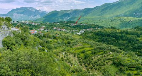 อื่นๆ 2 House Cattleya