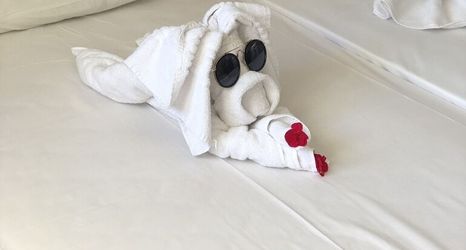 Others 2 Bay View Apartments