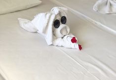 Others 2 Bay View Apartments