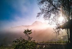 Others 7 Alpine Aria