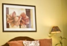 其他 5 Overcliffe Hotel